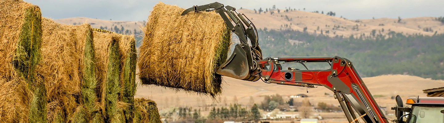 Tractor loader stacking hay bales